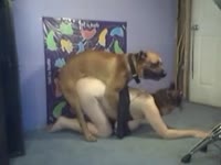 Sexy babe having dog sex in doggystyle position